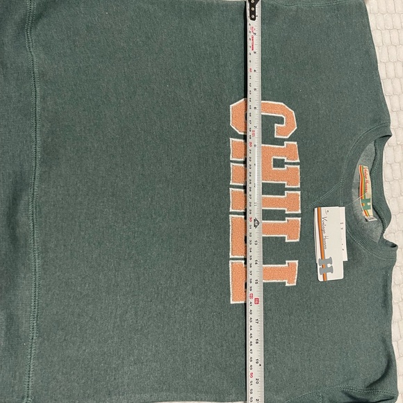NWT Vintage Havanna CHILL Sweatshirt - L/14 / sage colors - Picture 7 of 12